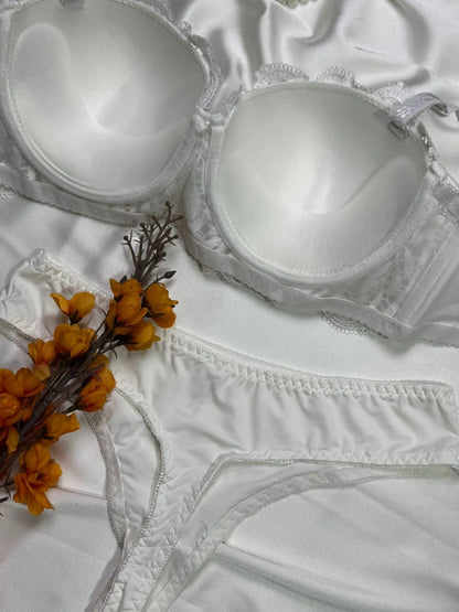 Angel Aura Mesh Lace Bra & Panty Set